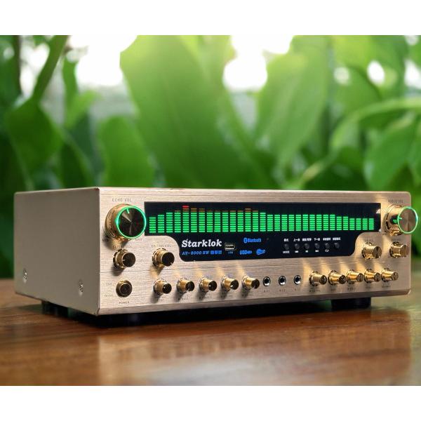 8000SW Flagship Version 7.1 CH 2500W Home Amplifier Full Aluminum Alloy Gold Body Double Ring Cow Partition Stereo Amplifier