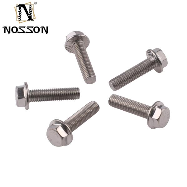 A2-70/A4-80/304/316 Grade Black Flange Bolt All Sizes with DIN Standard Stainless Steel