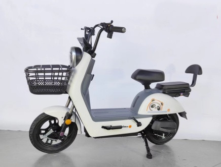 14 Inch Two Wheel Electric Scooter Cycle Lead Acid Storage Battery 48v 20Ah