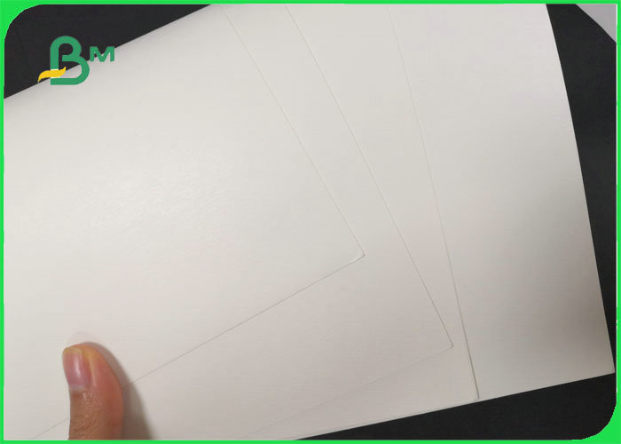300gsm + 18g PE Lined Coated Paper For Disposable bowl Width 500mm 550mm 600mm