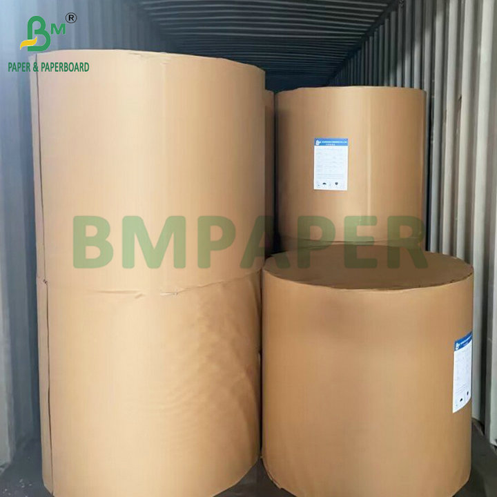 Single-sided PE coating 18gsm 190gsm 210gsm Paper Cup Material For Coffee Cups