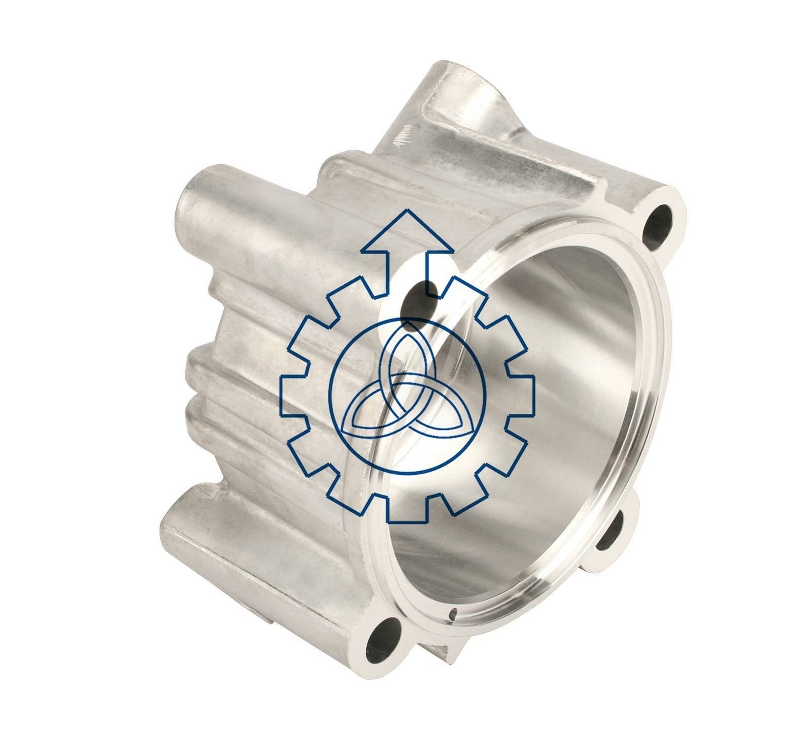 DAF Shifting Cylinder Housing 1317308 42530450 81326380033 5001843139