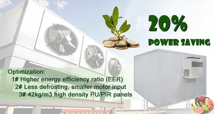 Custom Sizes Containerized Cold Room 100 KG With Cold Room Penal 380v/50hz/3ph