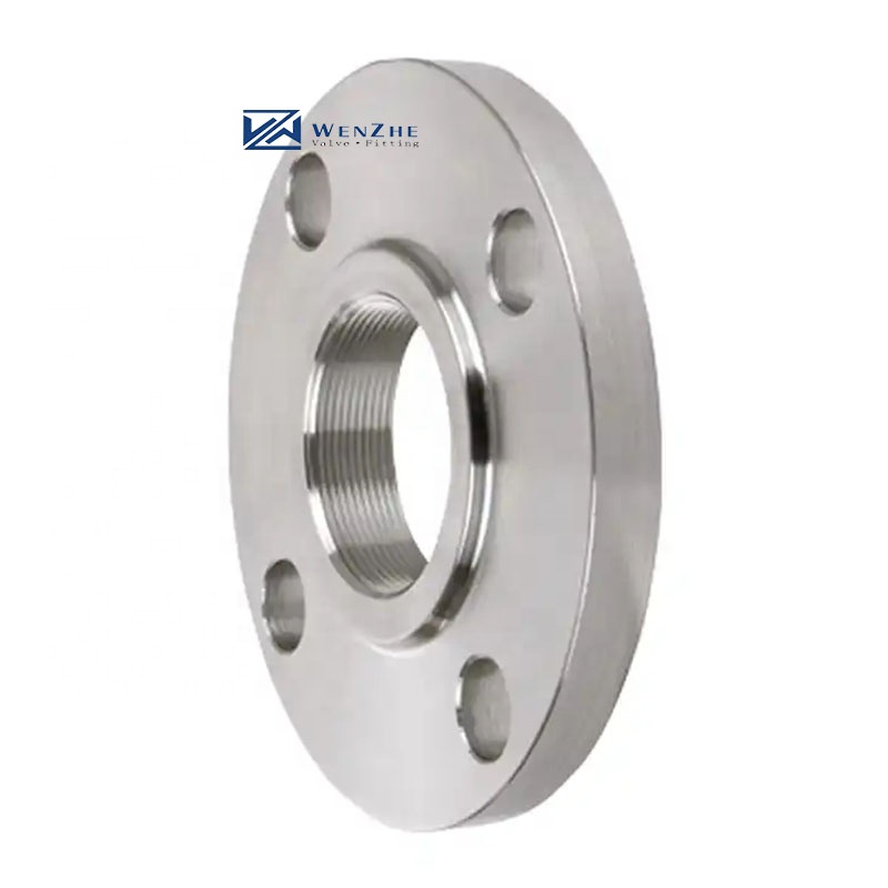 150 RF Female Thread BSP NPT Threaded Screw Flange Stainless Steel 304 316 316L AISI