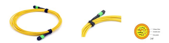 24 Fibers MPO Female To MPO Female Singlemode 3.0mm LSZH MPO Patch Cord Custom Meters