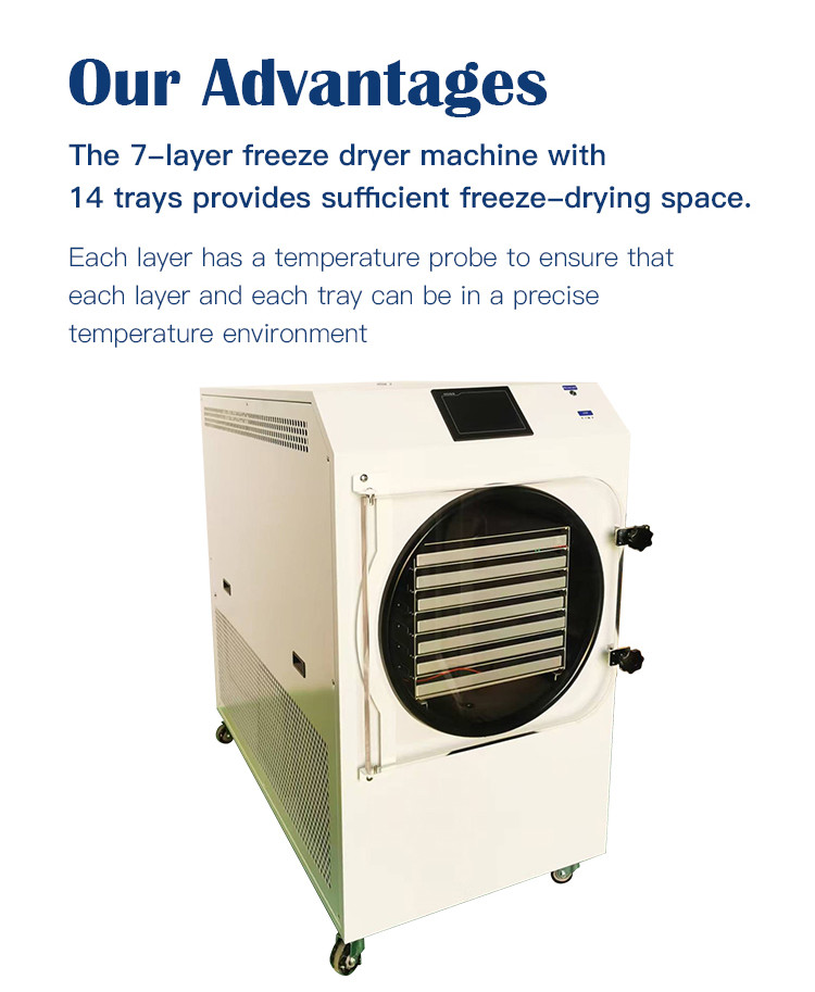 50kg Commercial Fruits Vegetables Candy Lyophilizer Food Freeze Drying Machine