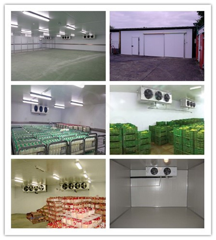 Customized refrigerated storage products freezer chamber