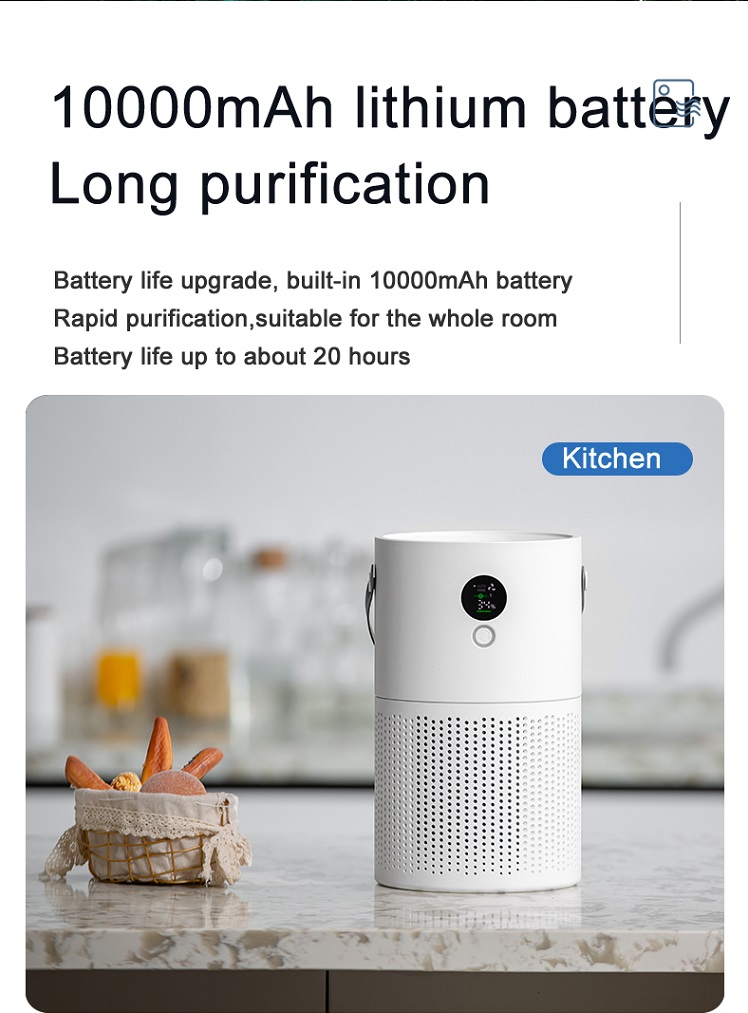 HOMEFISH Smoke Pm2.5 Negative Ion Desktop Cleaner Air Purifier