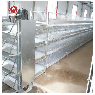 180 Birds H Type Broiler Chicken Cage 1480mmx1750mmx440mm
