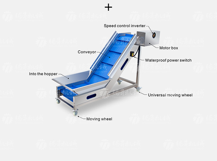Kiwi Carrot Taro Vegetable Brush Bubble Cleaning Machine 2.5KW