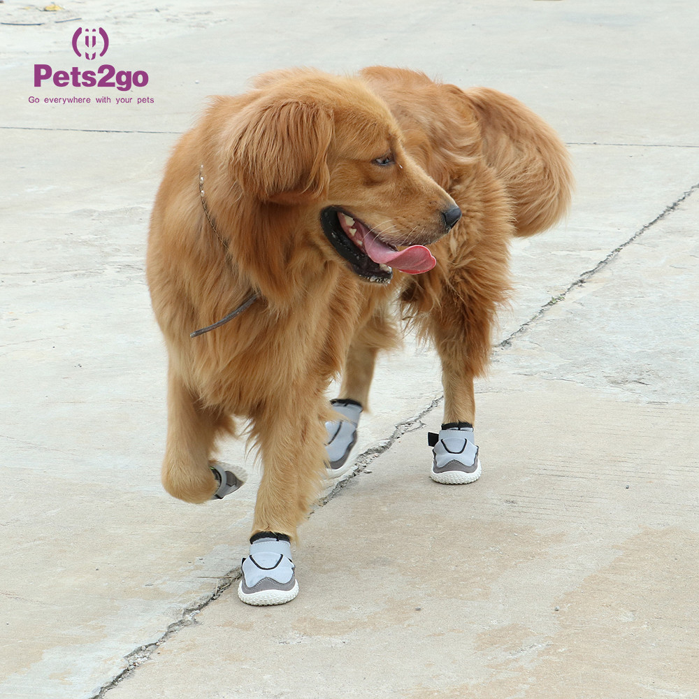 Breathable Mesh 23.5x7.2cm 500g Dog Running Shoes