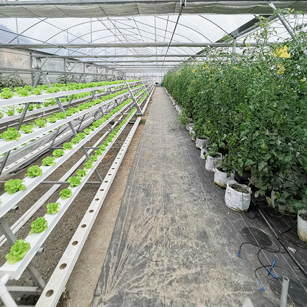 A Frame PVC Nutrient Film Hydroponic System Nft Vertical Farming