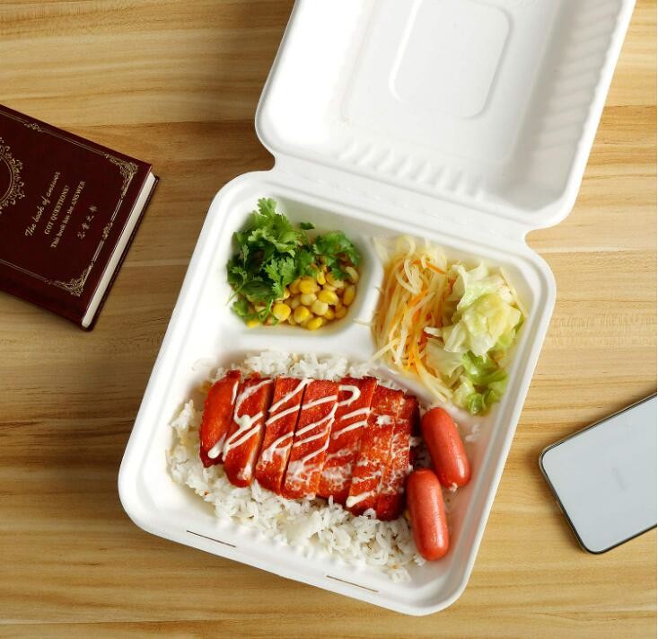 Sugarcane Bagasse Eco Friendly Disposable Food Containers For Takeaway 8 Inch