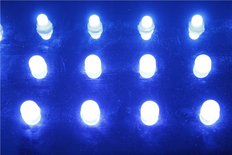 Outdoor RGB 0.3W 12mm LED String Full Color 12V LED Pixels Module Waterproof IP67 Point Light