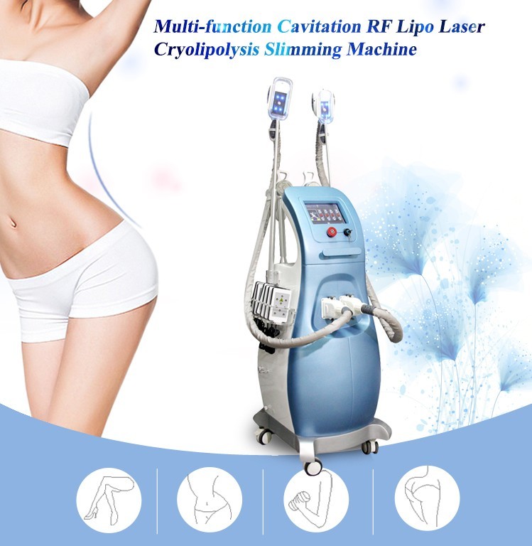 800W 3 Handles Cryolipolysis Body Slimming Machine