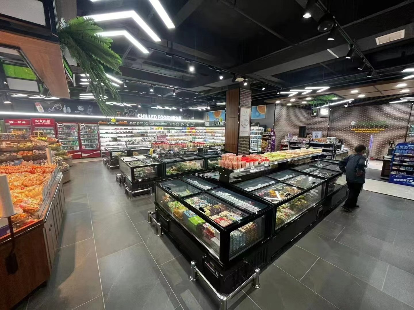 Efficiently Store and Showcase Frozen Products with Seeble Supermarket Island Freezer