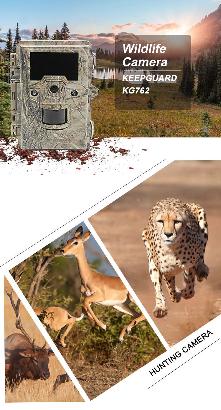940nm IR Wildlife Hunting Camera Infrared Scouting 12MP HD Auto PIR