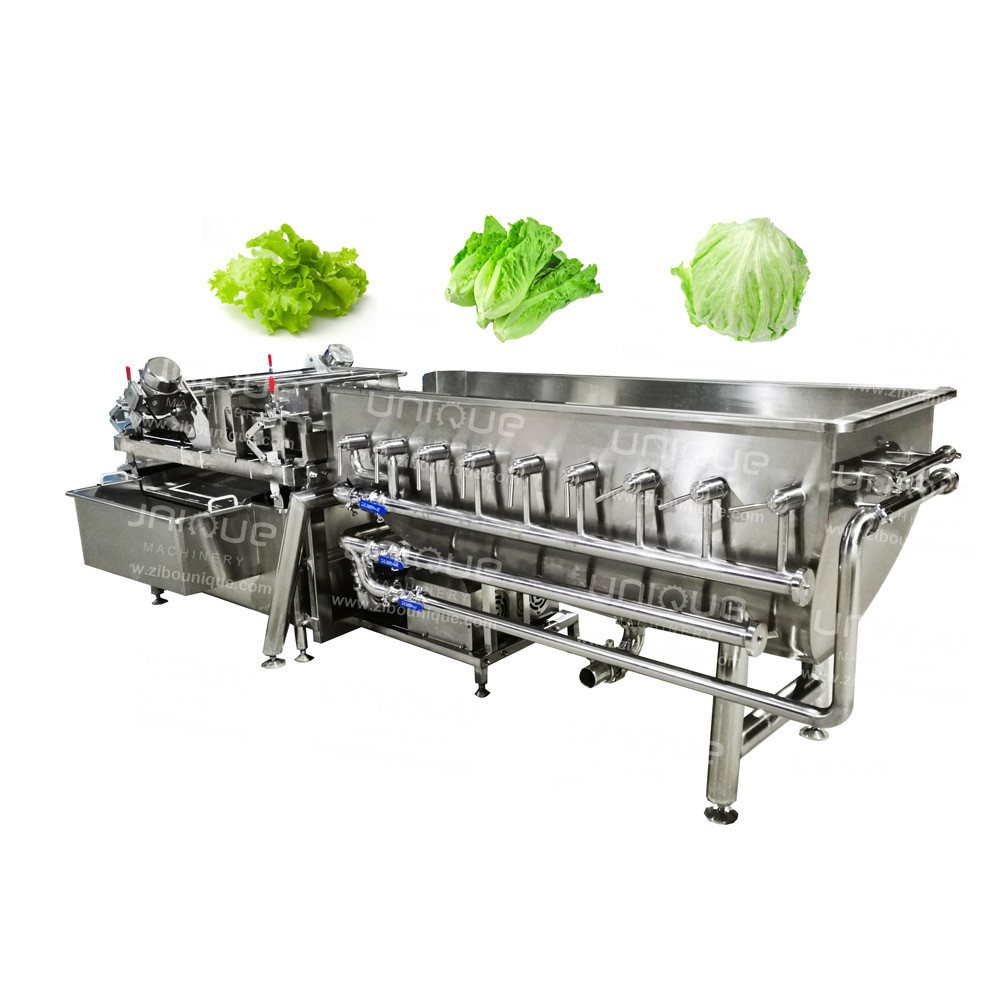 Upgrade Your Salad Line with Our and Improved Industrial Vegetable Washing Machine