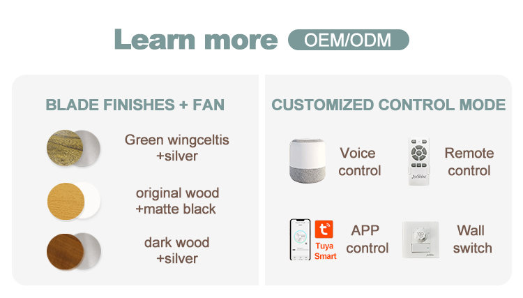 6 Speeds Remote Control LED Ceiling Fan with Modern Design and Comfortable Wind