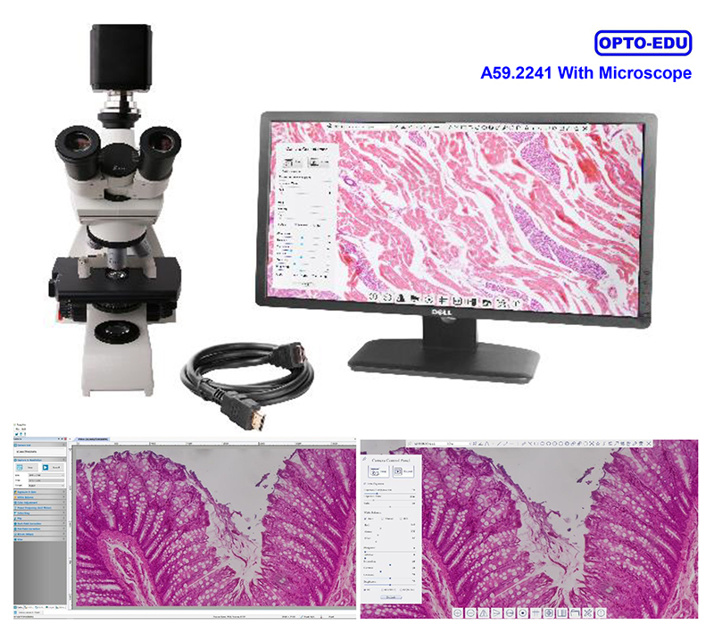 OPTO EDU A59.2241 4K 8.0M HDMI+USB+SD Digital Camera For Microscope
