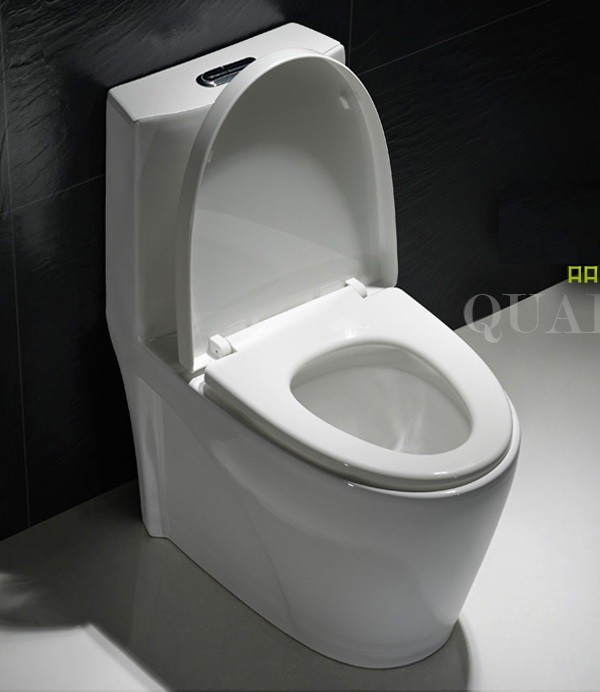 Top Flush One Piece Elongated Toilet With 11 Inch Rough In Slowdown Seat Cover