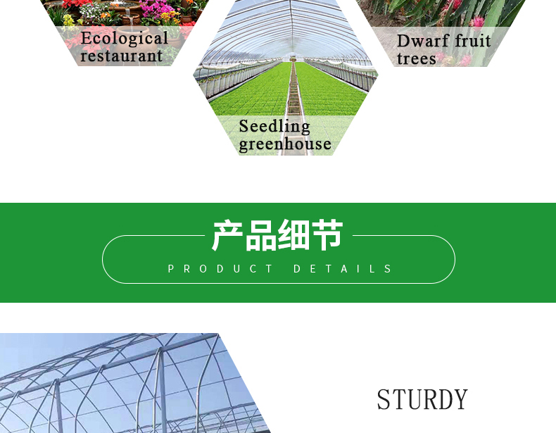 Double Layer PO Greenhouse Tunnel for Precise Temperature Control