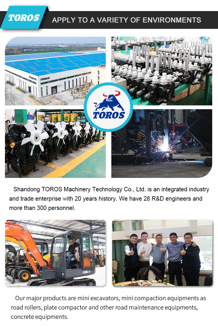 19KW Toros Mini Excavator Hydraulic 1.5 Ton Mini Digger Home Use