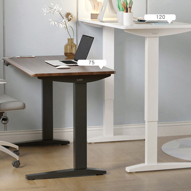 Double Motor Electric Up Lift Desk Customized Leisure Sit and Stand Up Office Table with Colored Frame
