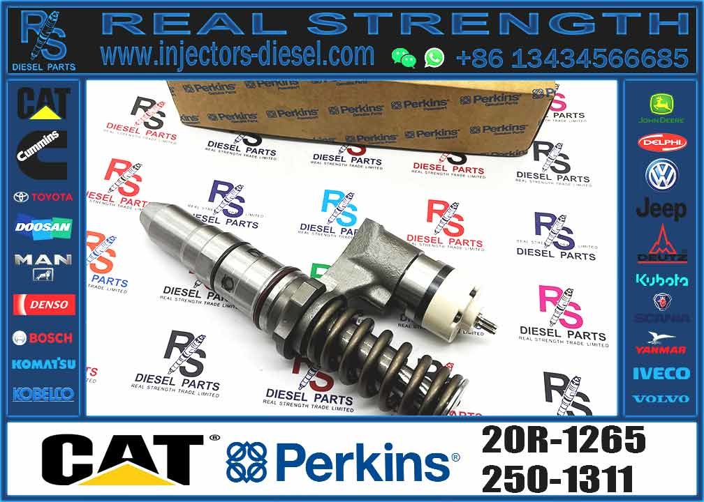 Excavator Parts 3116 Engine Injector 0R-8483 0R-3002 0R-8477 0R-3190 0R-8473 4P-2995 Fuel Injector For Excavator