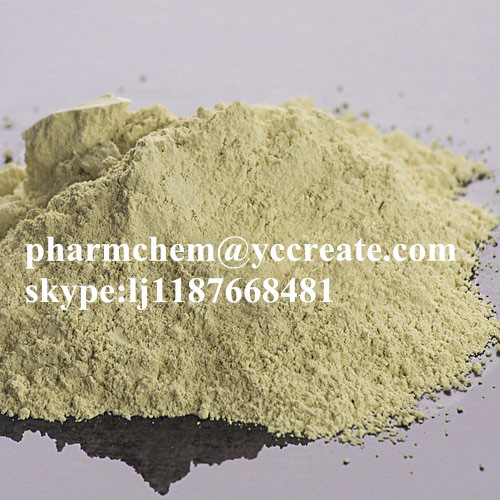 Natural Sex Enhancing Dried Abelmoschus Esculentus Okra Extract