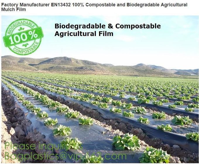 eco friendly compostable biodegradable plastic t-shirt shopping bags,Recycle kitchen the pack 100 biodegradable cornstar