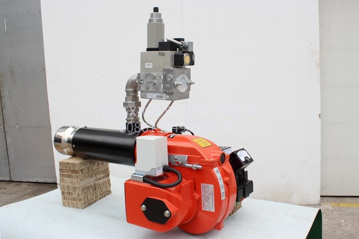 High Efficiency Industrial Gas Burner Gas Steam Boiler Burner Equipped With Air Pressure Relay