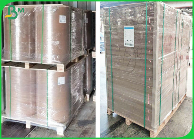 180g 240g Degradable Color Board Excellent Printing Effect For Paper Pamphlet