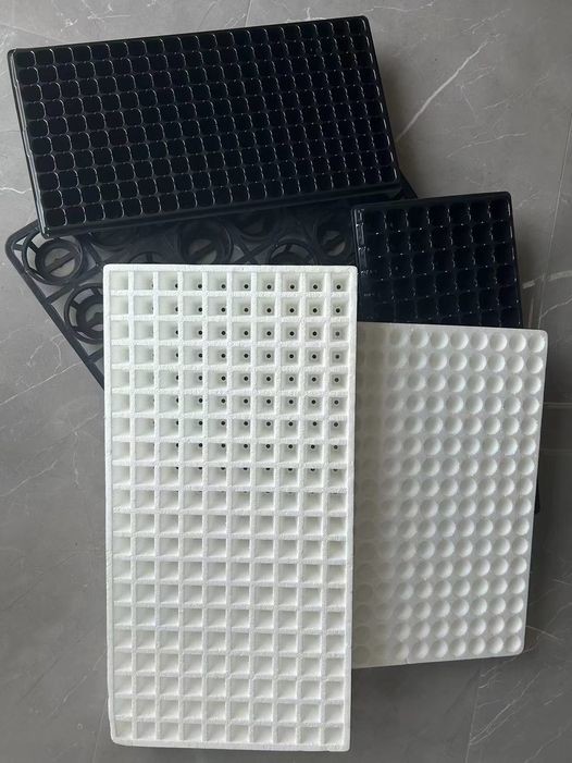 EPS50 160 120 200 242 Seedling Tray Foam Floating Nursery Tray