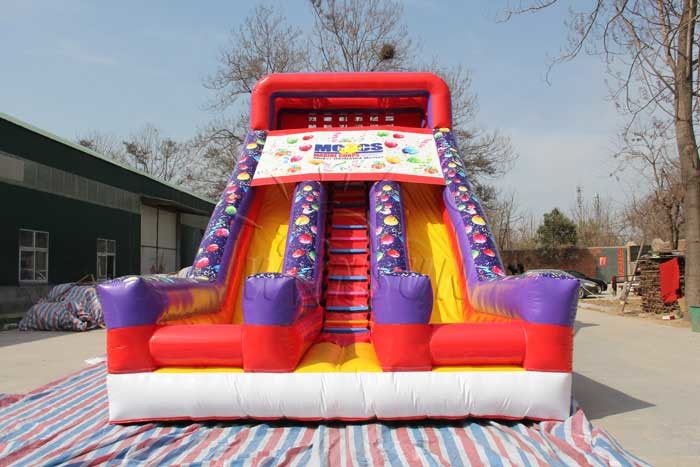 Customized Size Commercial Inflatable Water Slides For Kids And Adults