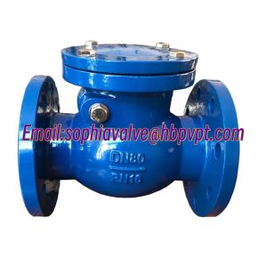 Design standard DIN GG25 metal seal cast iron check valve