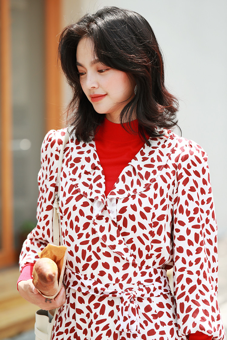 Summer V Neck Printed Women Chiffon Dresses Long Sleeve Chiffon Dress