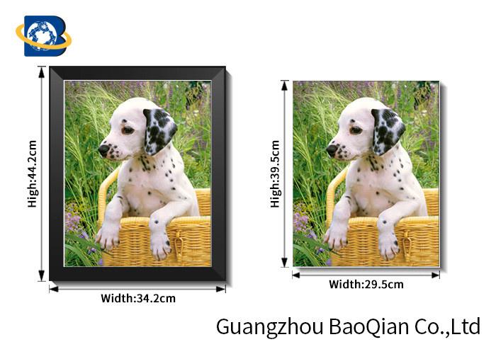 Lovely 3d Animal Picture With Black Frame , Lenticular 3d Stereograph Printing