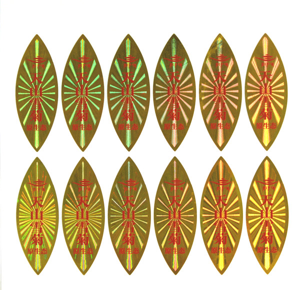 Security Hologram Stickers / Adhesive Label Sticker With Logo Printing