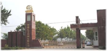 Hebei Reking Wire Mesh CO.,Ltd