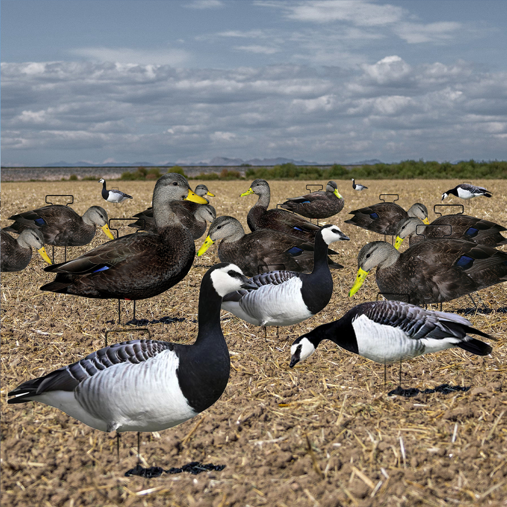 Reusable Plastic Lifelike Silhouette Geese Decoy Bait For Black Barnacle Goose Hunting