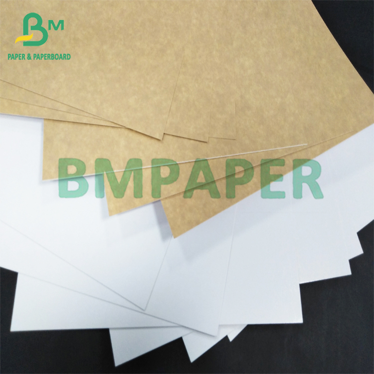 Coated kraft back