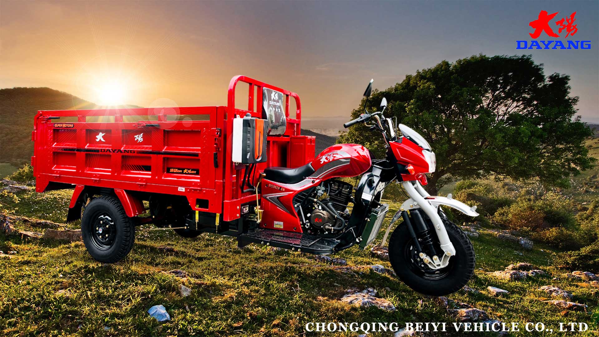 DAYANG Cargo Tricycle with Rear Axle Floating Booster King Three Wheels Motorcycle