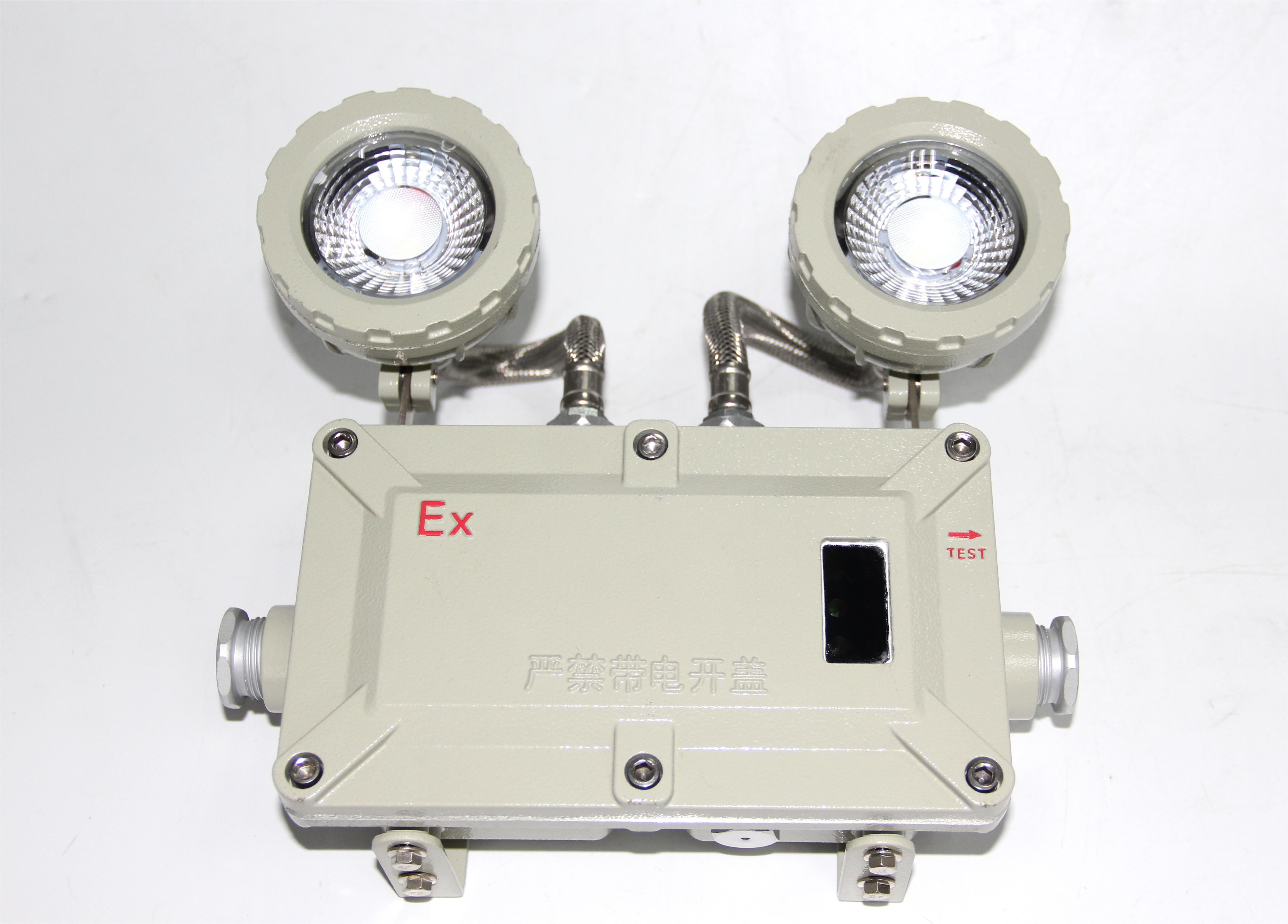 High Lumen Powered 2*3w Waterproof Flameproof Explosion Proof Emergency Light With Wall And Ceiling Mounting