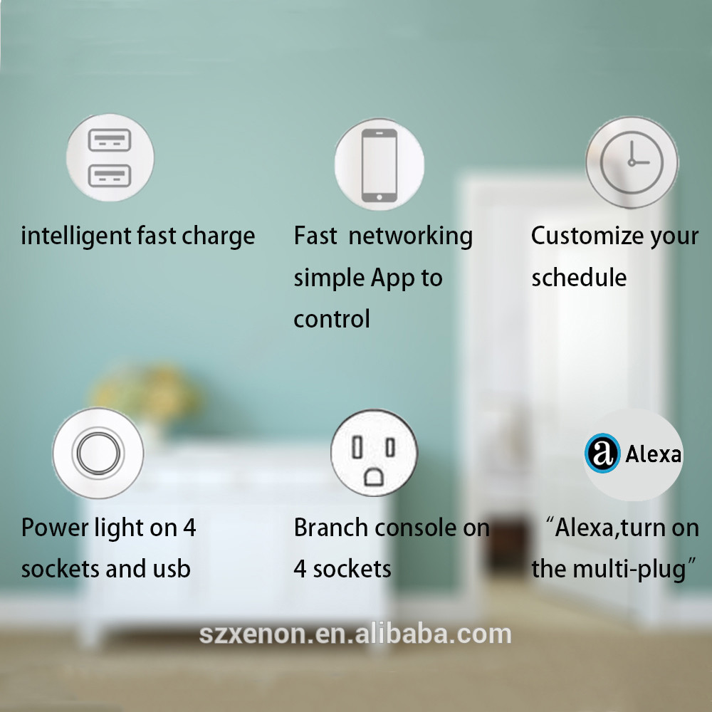 Cetl Fcc Rohs Us Tuya Home Smart In Wall Outlet Product Two Ac Sockets One Usb Smart Wall Plug Socket