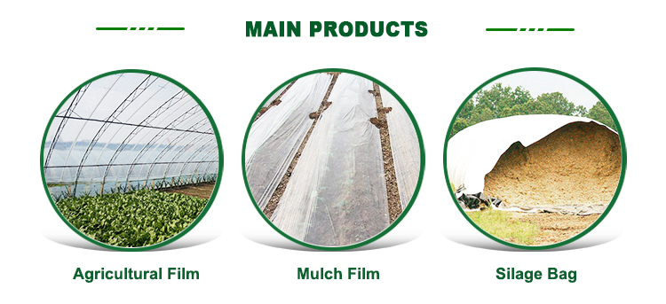 Diffusion agricultural films plastic greenhouse agriculture