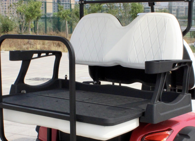 48V5KW AC Motor Lifted Golf Cart Back to Back 4 Seater with Strong Power and Standing Postion of Tail Caddie Unequipped