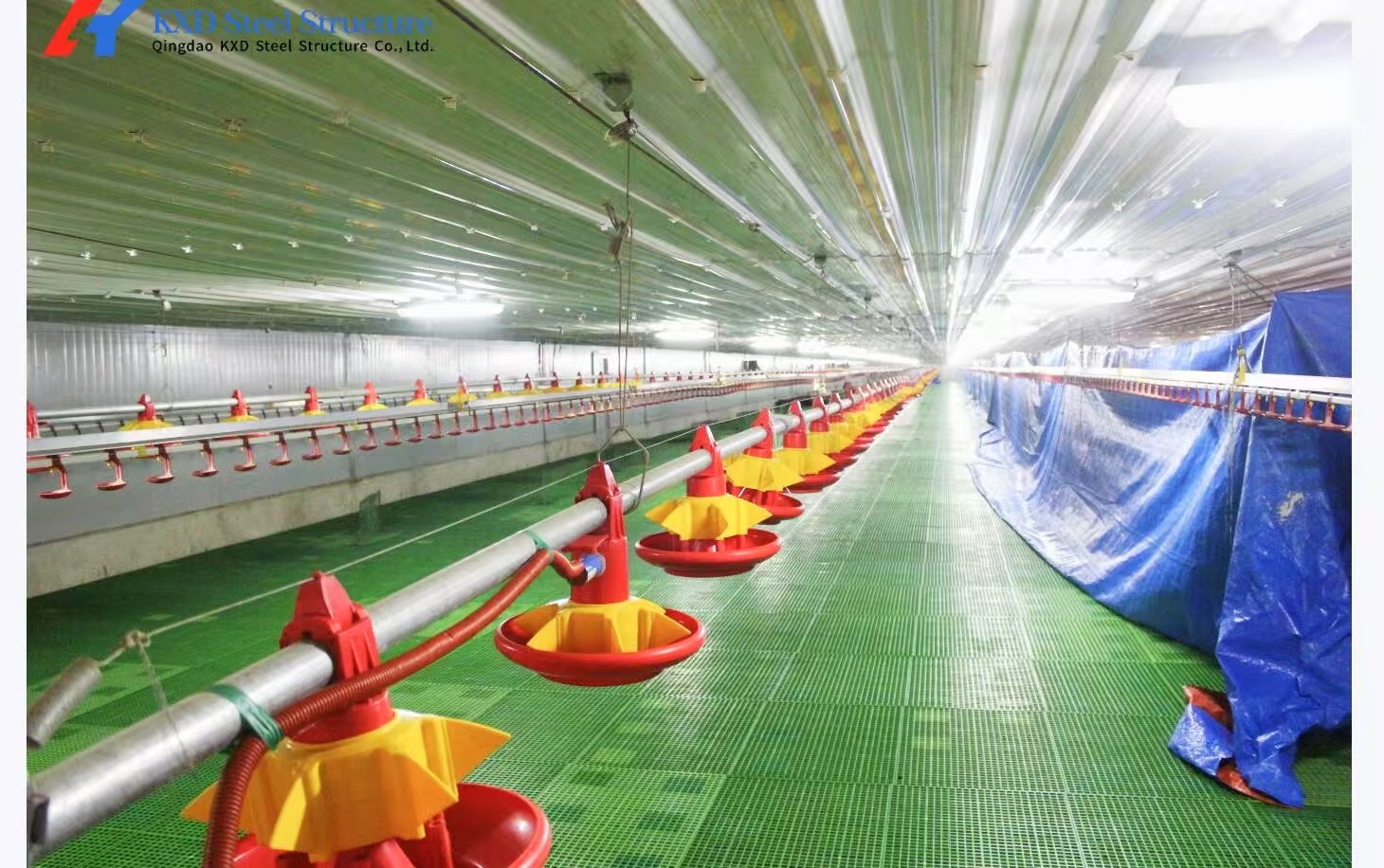 Automatic Broiler Poultry Farming Equipment Galvanized H Type Battery Chicken Cages