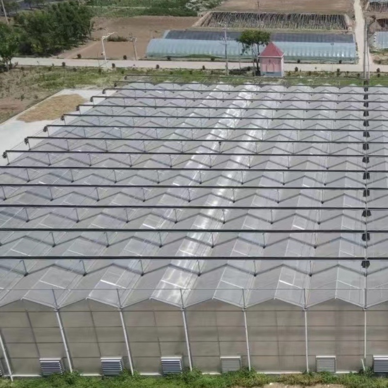 Large Size Commercial and Agricultural Venlo PC Polycarbonate Greenhouse