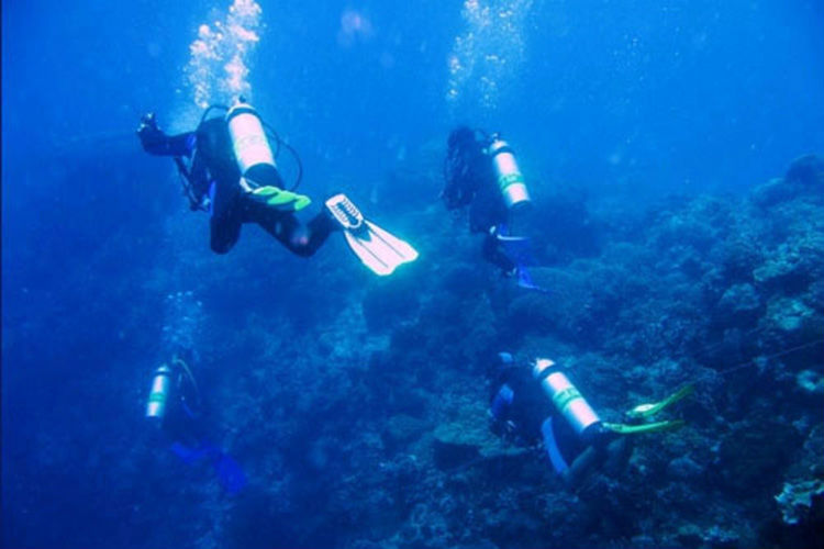 C66 High bright rechargeable Q5 LED diving flashlight